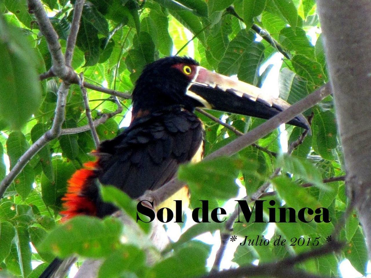 Sol De Minca Eco Lodge מראה חיצוני תמונה