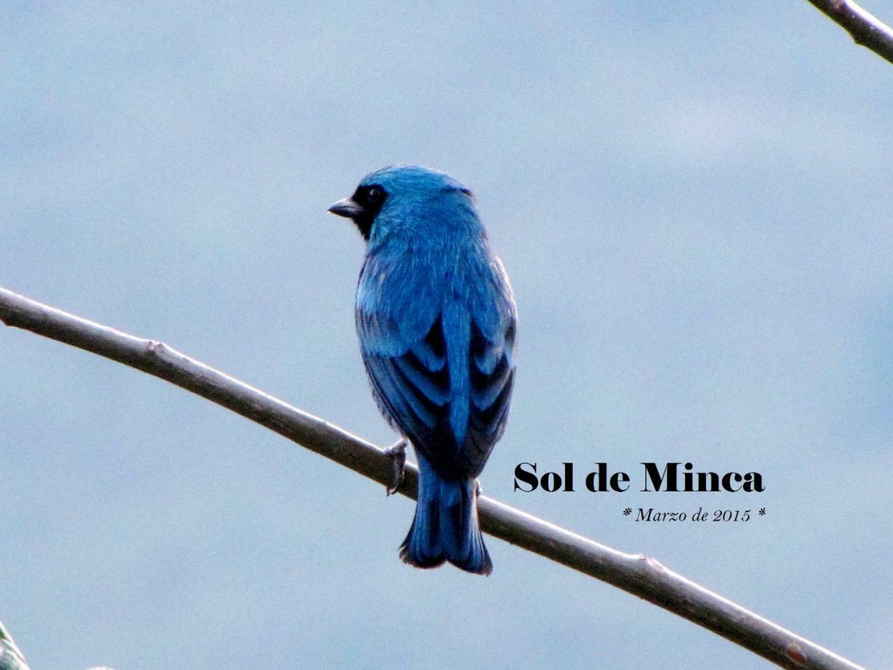 Sol De Minca Eco Lodge מראה חיצוני תמונה